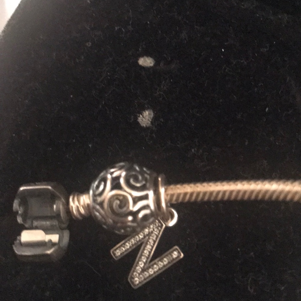 Pandora charms